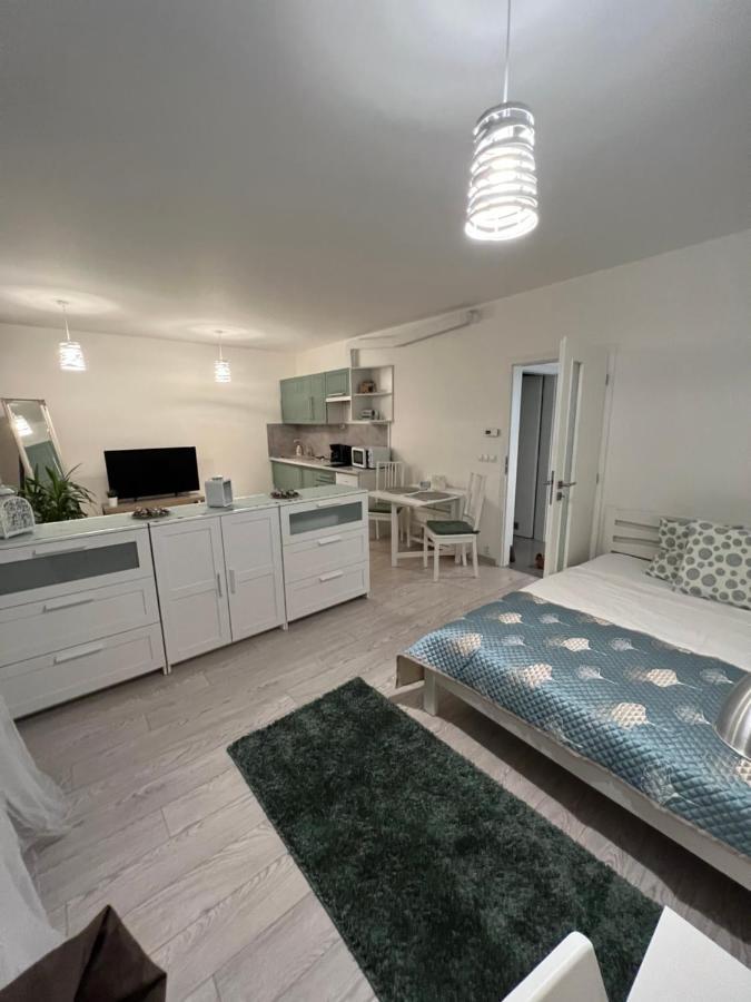 Free Parking In Garage Karolina Plazza, New Cosy Studio With All You Need Prague Exterior photo